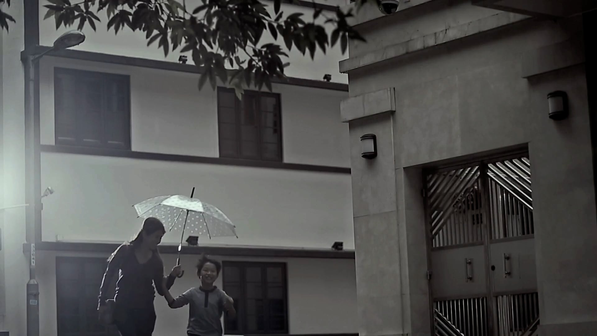 BCT - Director Version