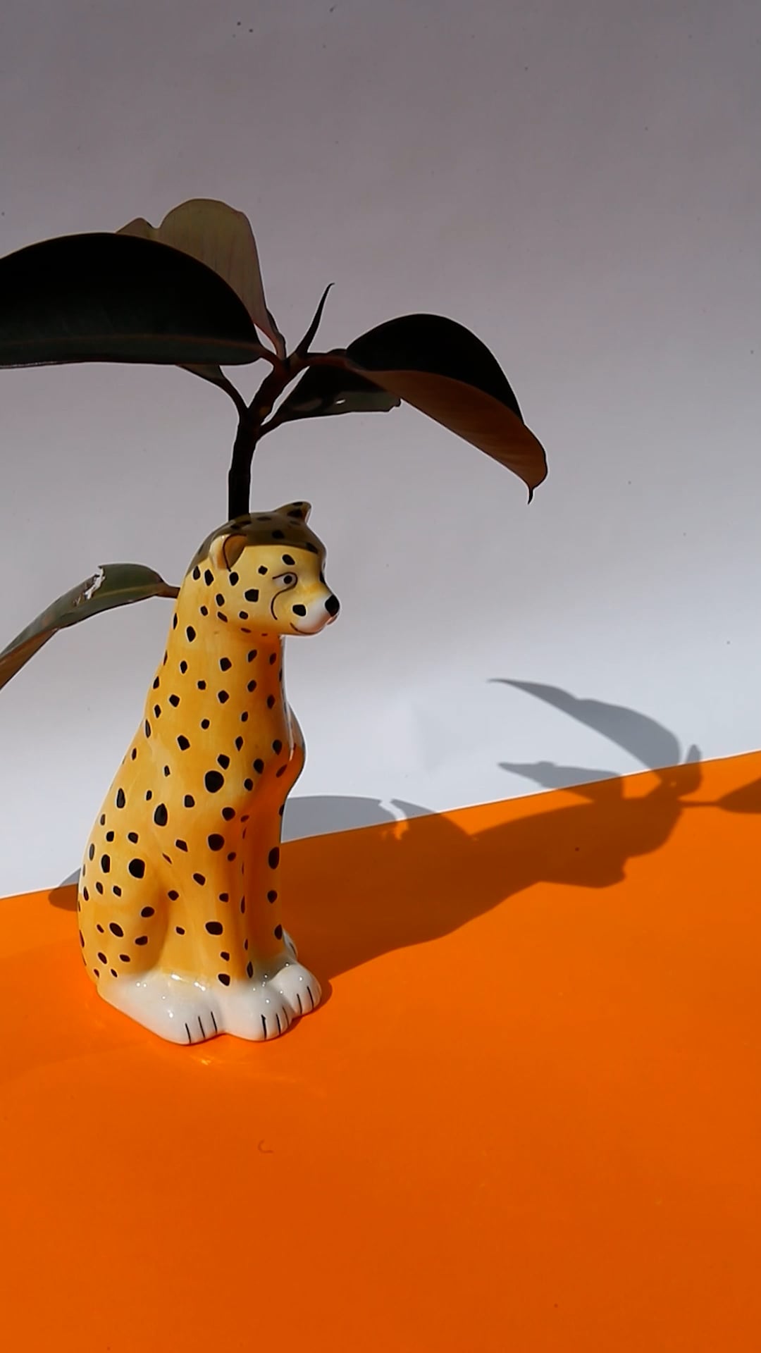 Cheetah Vase and Plant Pot on Vimeo