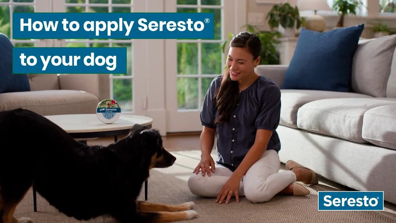 Seresto Dog How to Apply Video on Vimeo