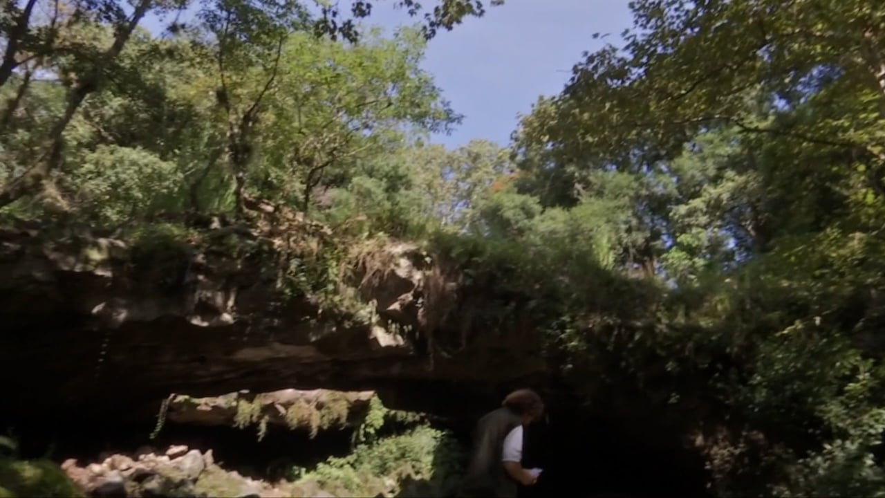 Tlaltetela