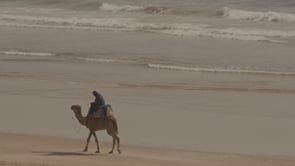 Related Embedded Video Item Thumbnail