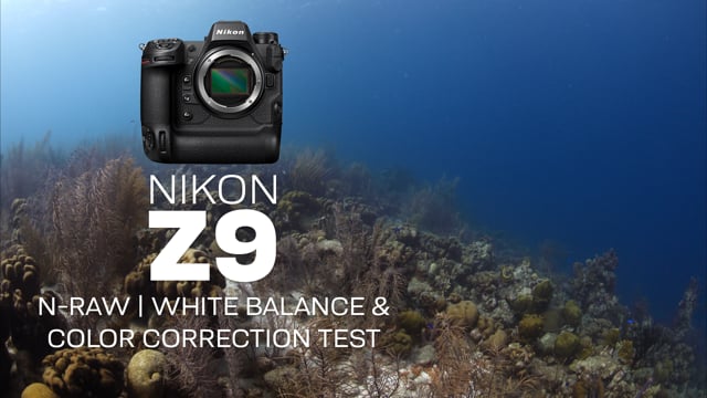 Nikon Z9 | N-RAW White Balance Test