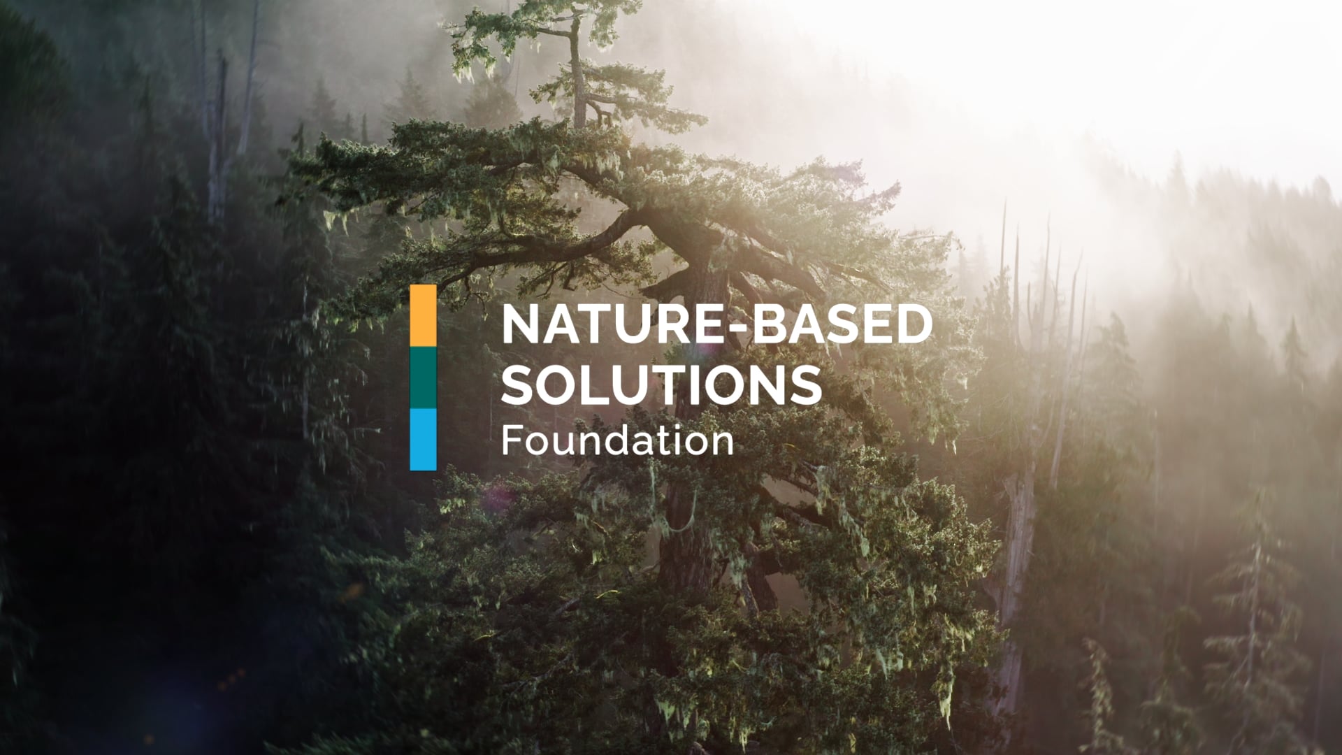 NATURE-BASED SOLUTIONS FOUNDATION - Who We Are