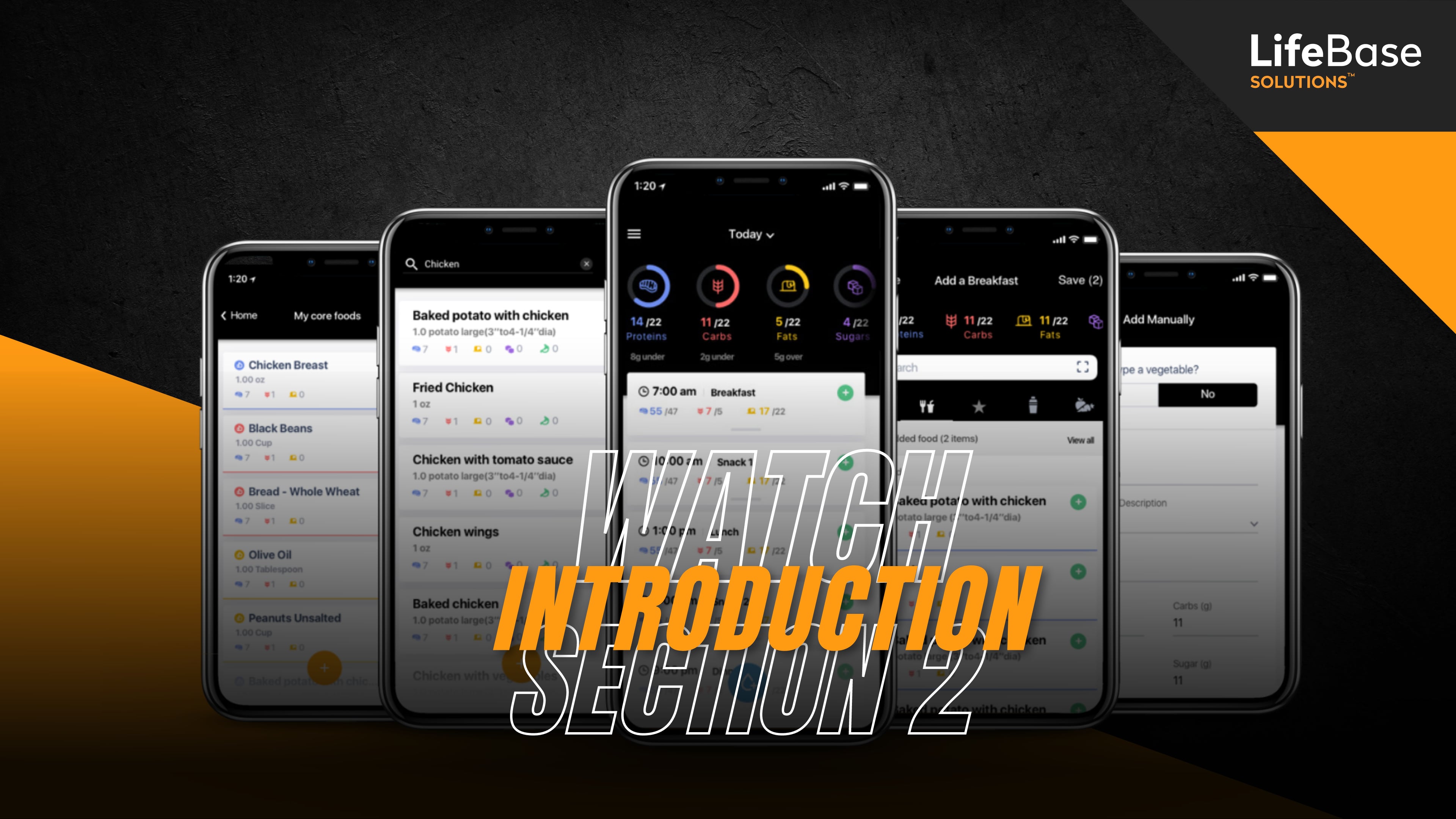 Level 2 Section 2 Introduction on Vimeo