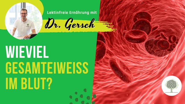 Wie viel Gesamteiweiß sollte man im Blut haben?