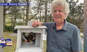 Mystery Dolls Show Up in Man's Mailbox