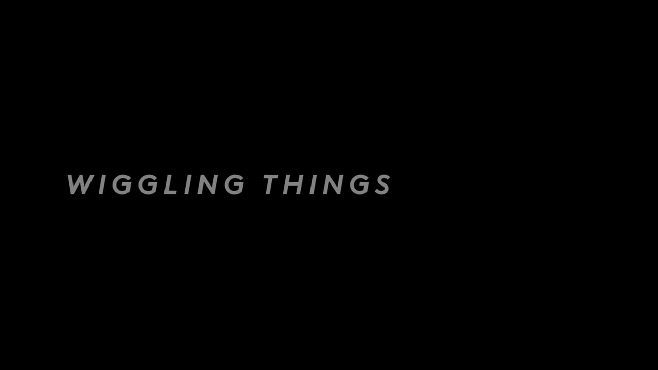 230303 | Wiggling Things | Tanja Andersson