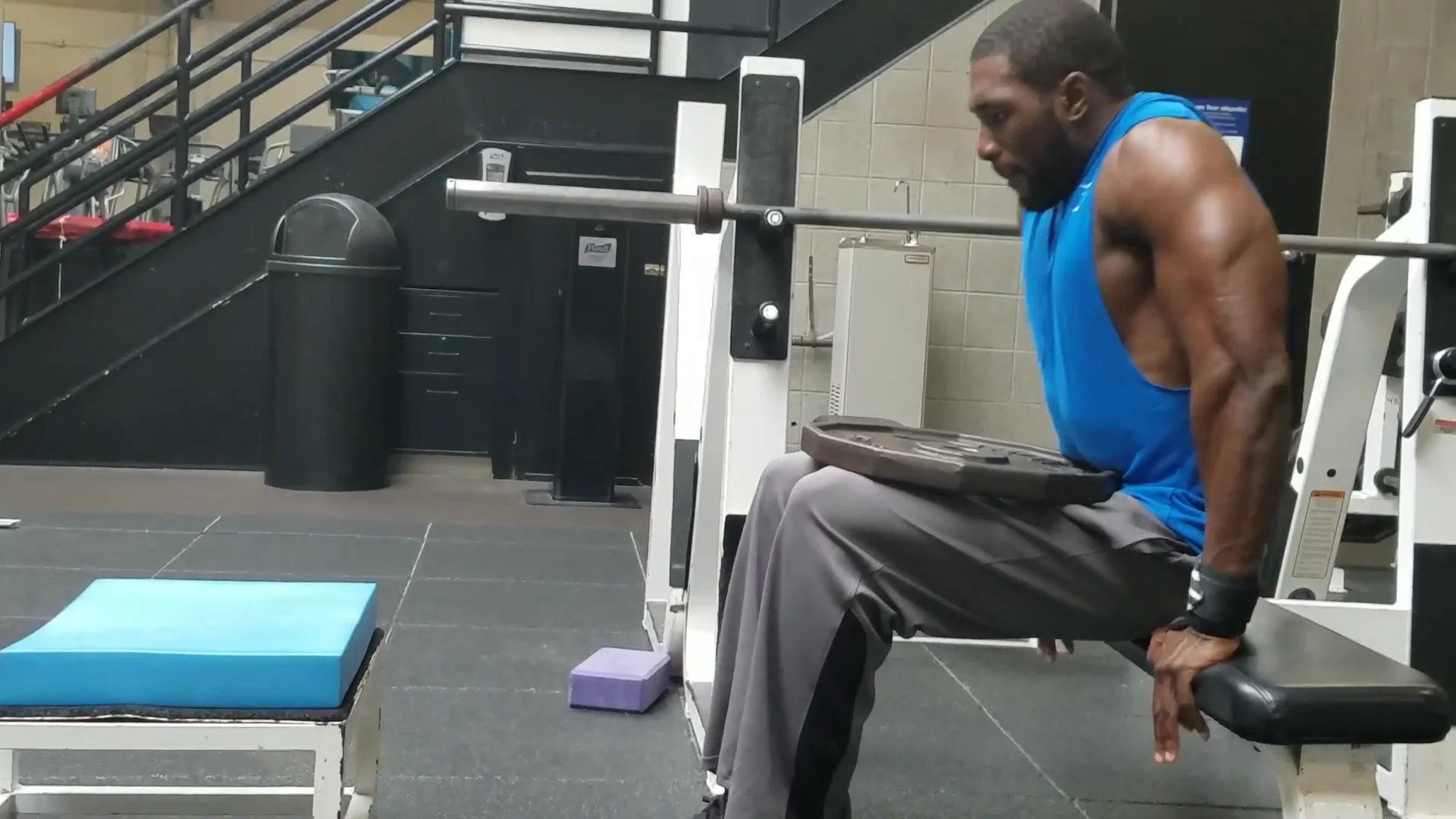 Bench Dips — Rehab Hero