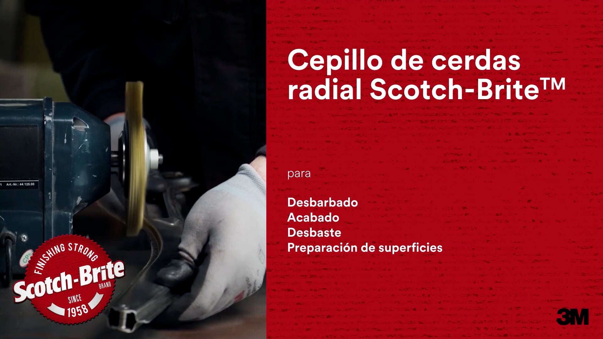 Cepillo de cerdas radial Scotch Brite