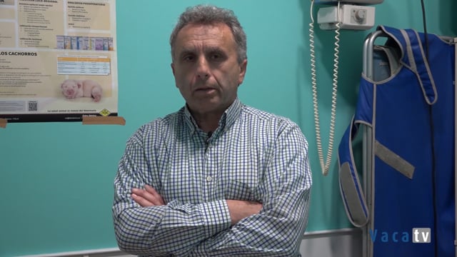 "Anembe nos ha dado formación, sobre todo cuando no la había”