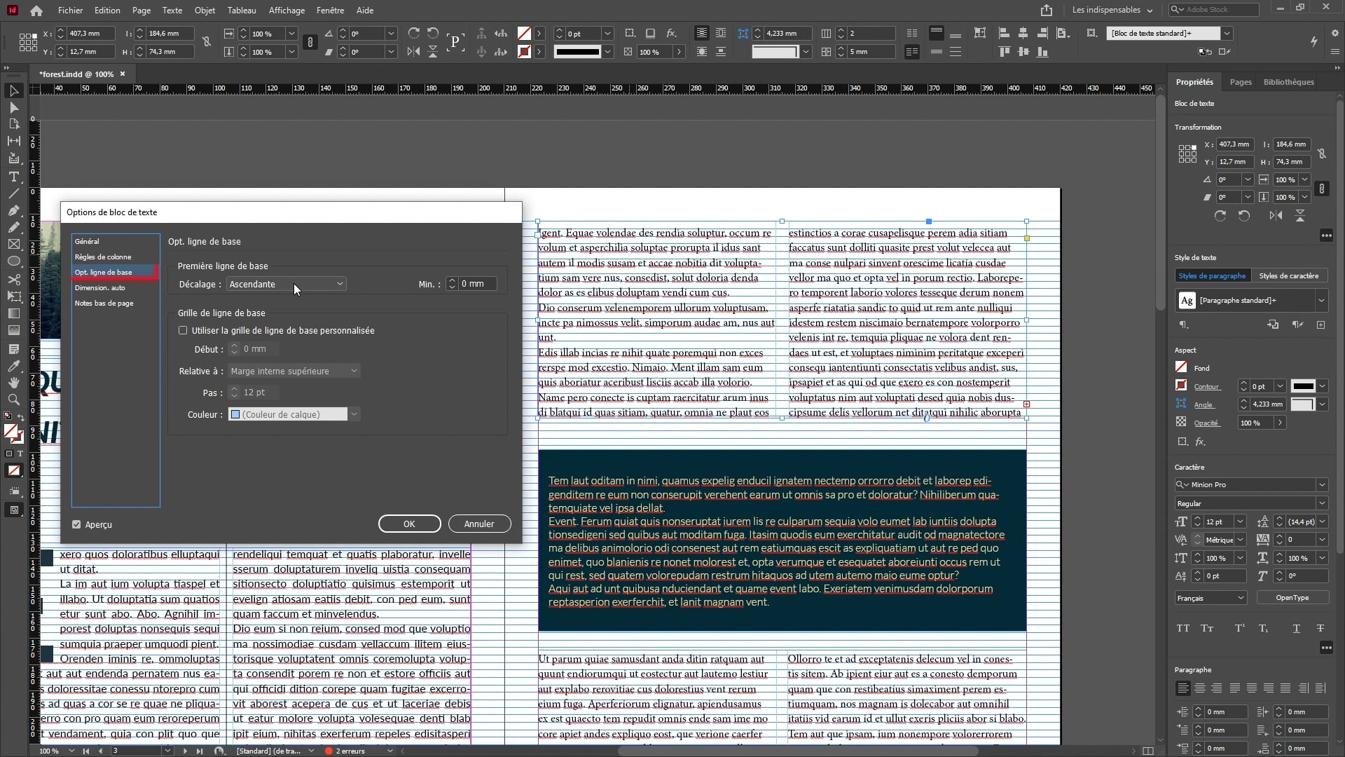Bloc texte et options