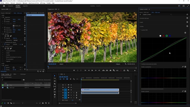 Couleur Lumetri : Courbes