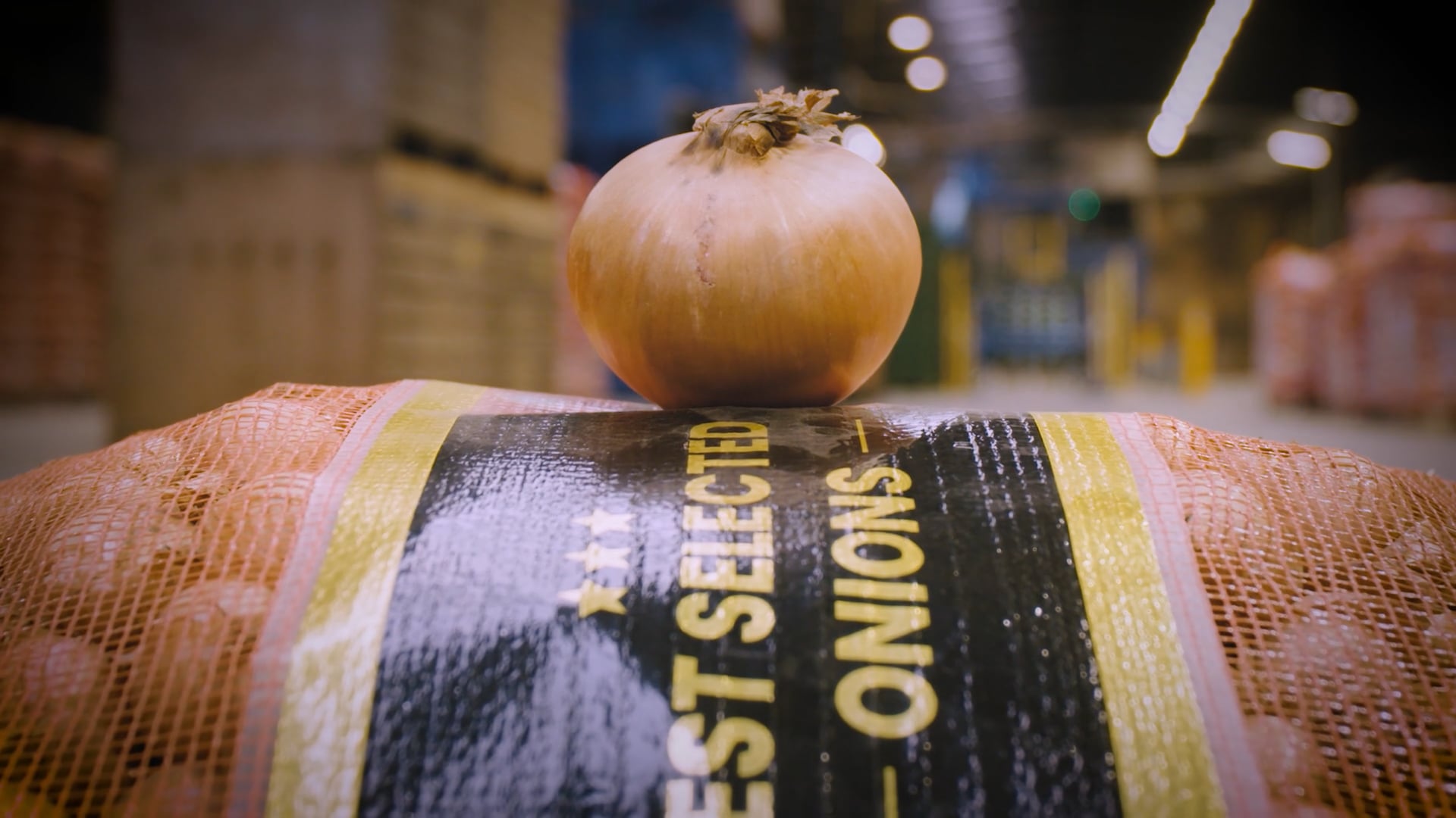 LC Packaging - Journey of an onion