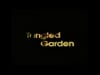 Tangled Garden, Act II, Scene II