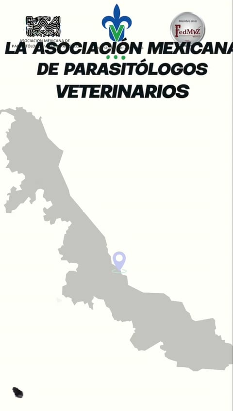 https://i.vimeocdn.com/video/1667375246-06a0c7d8194fd28810f8b7529bdd49719c9315d53de6ecba3f73a255fa1f3b06-d