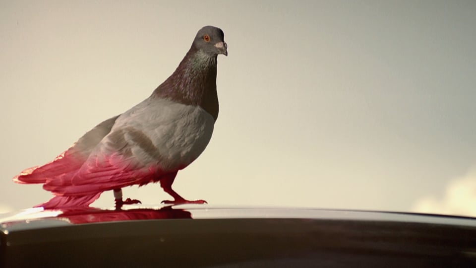 Smart – Start Being Different