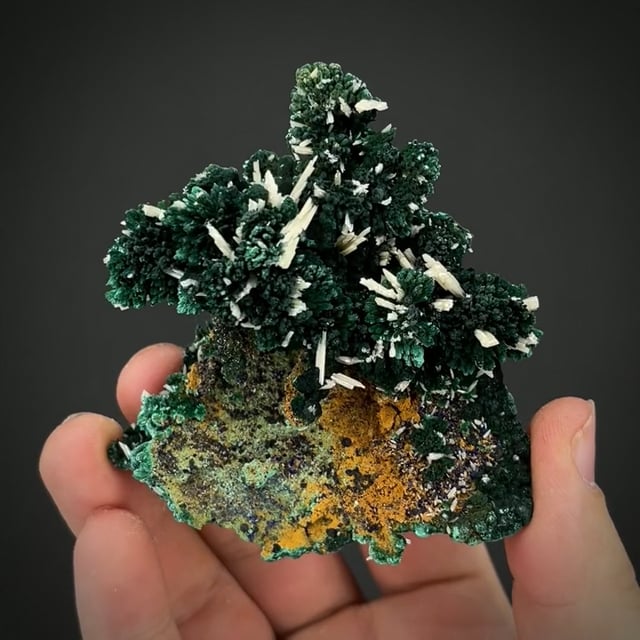 Cerussite on Malachite with Azurite