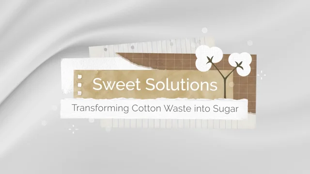 PhytoGen, Cotton Incorporated Team To Recycle Denim Into Insulation -  Cotton Farming