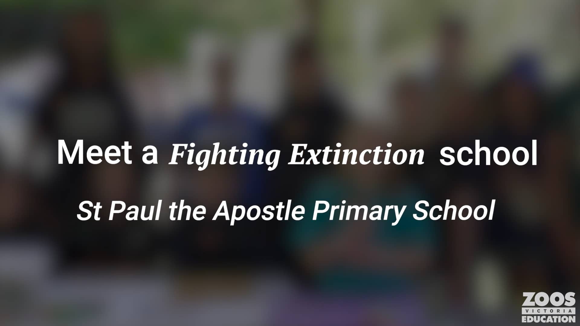Fighting Extinction School - St Paul the Apostle Primary School on Vimeo