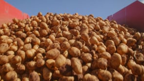 Related Embedded Video Item Thumbnail