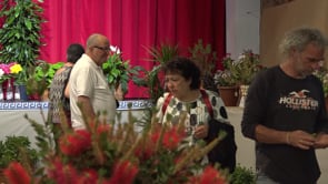 Més de 300 persones visiten l'exposició de flors i bonsais del CER