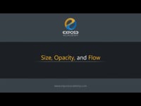 Size, Opacity, and Flow