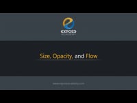Size, Opacity, and Flow