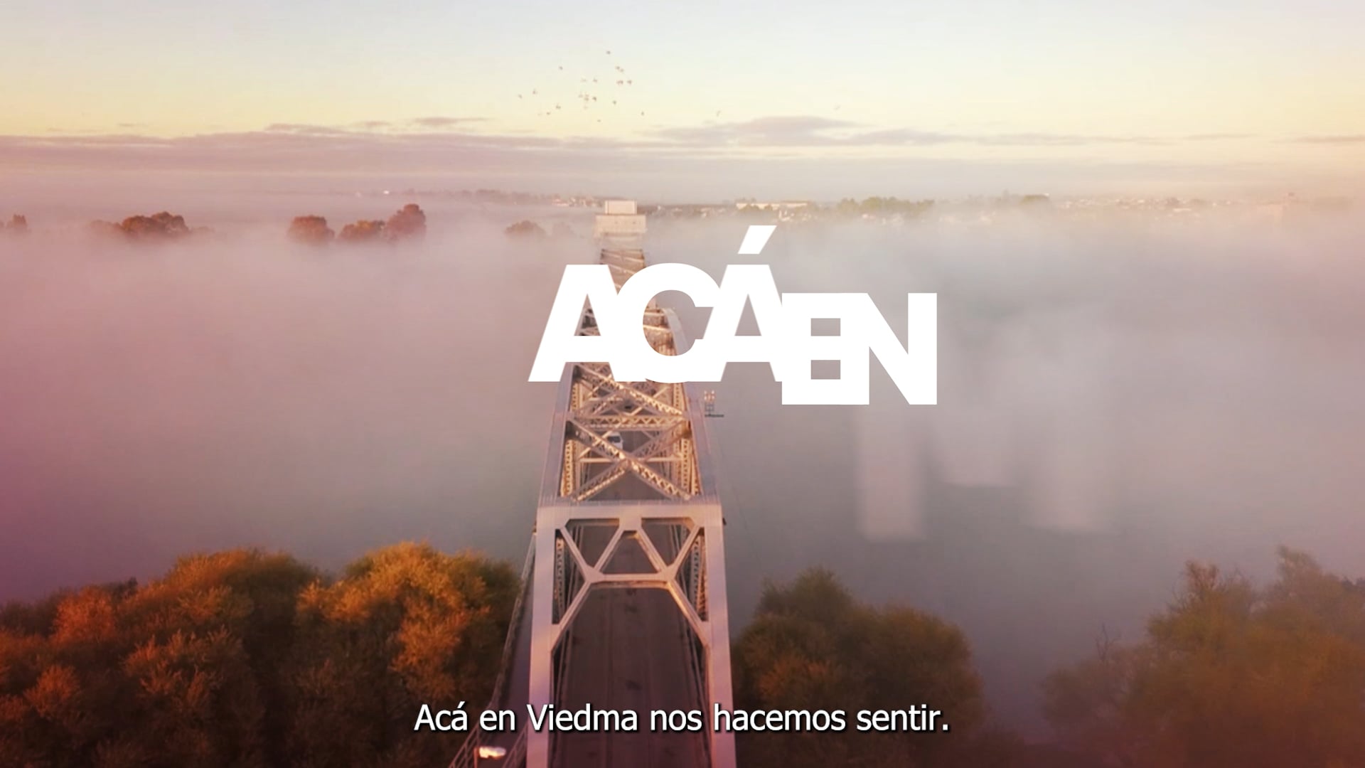 CAMPAÑA VIEDMA_PREÁMBULO