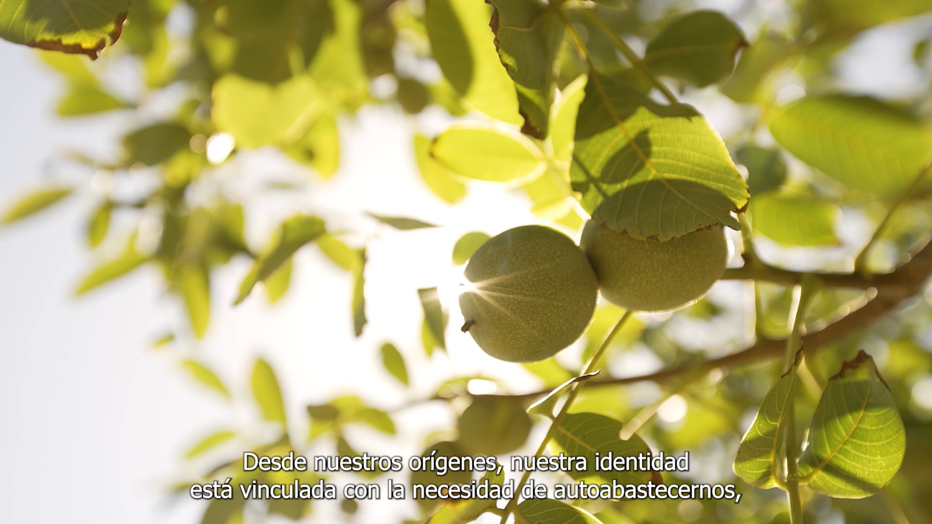 CAMPAÑA VIEDMA_PRODUCCIÓN