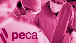 Q&A PECA Session 1 | Webinar in English