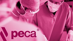 Q&A PECA Session 2 | Webinar in English