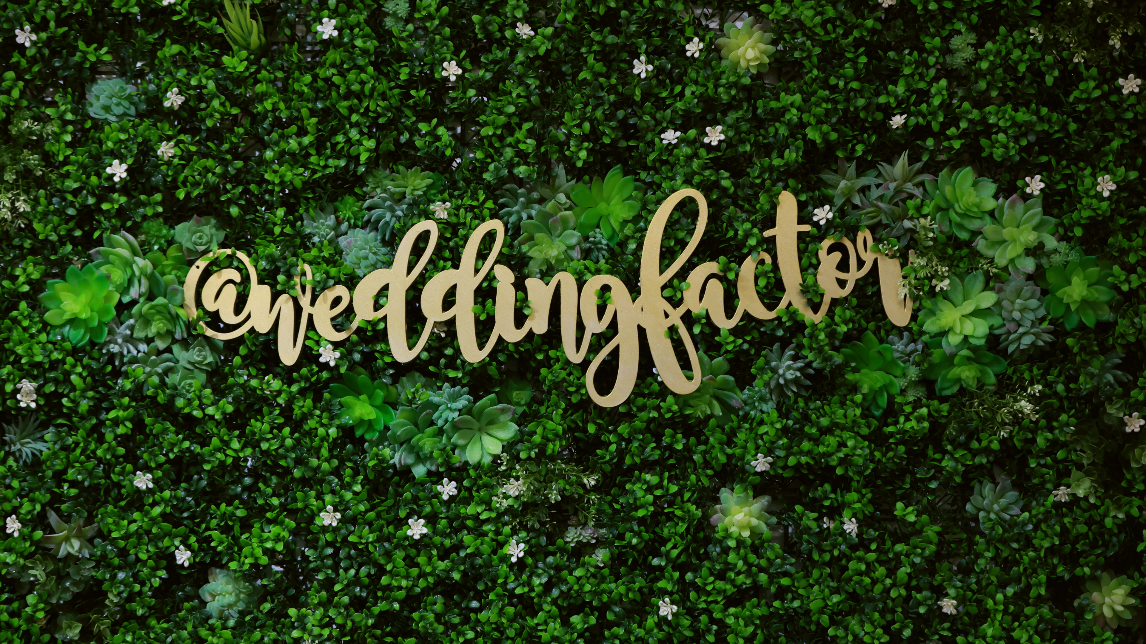 The Wedding Factor