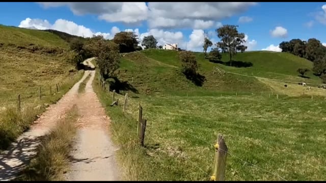Path, Landscape, Home. Free Stock Video - Pixabay