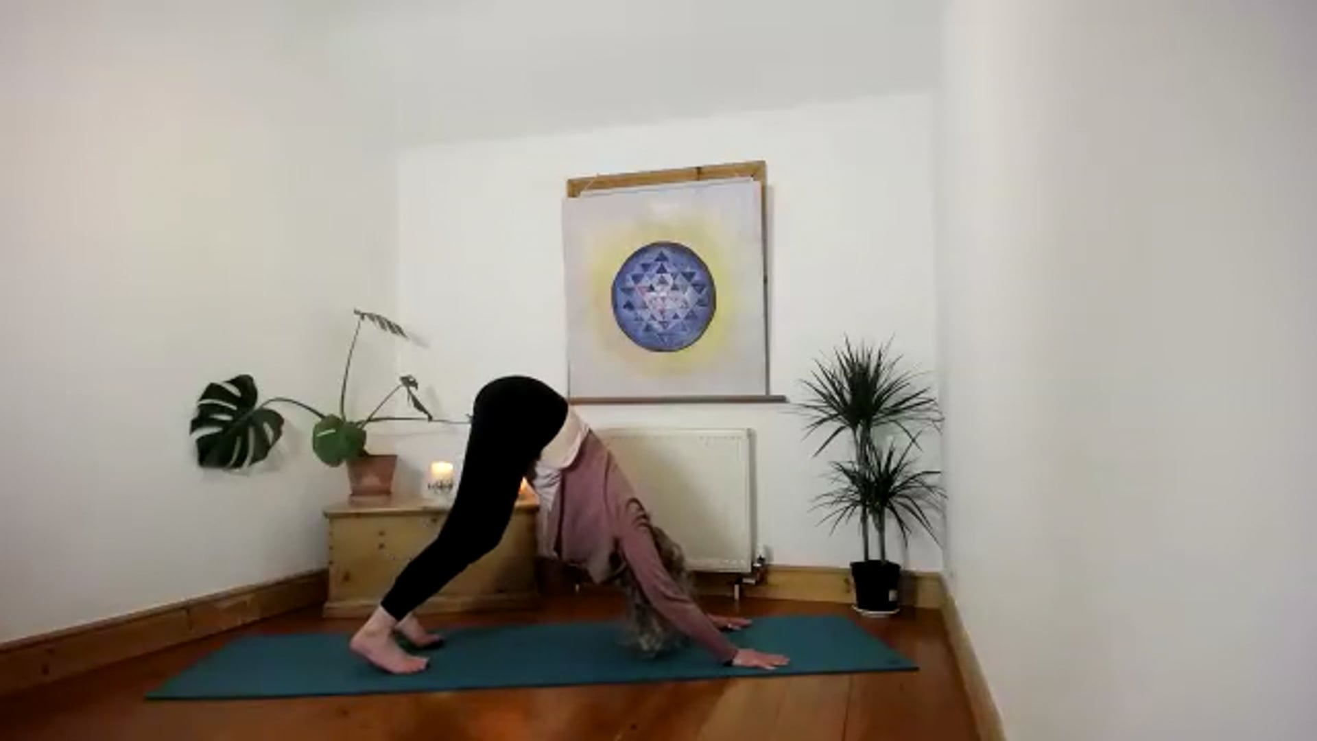 Multilevel wk 4 Hips, Shoulders and Back