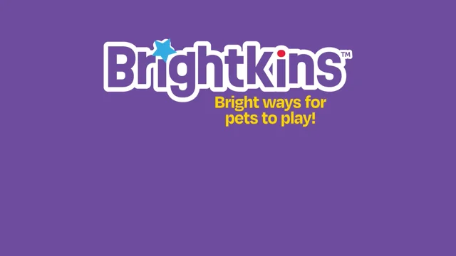 BRIGHTKINS Surprise Party! Puzzle Treat Dog Toy 