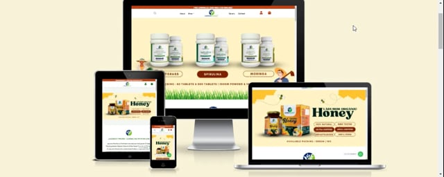 E-commerce Website Development cover