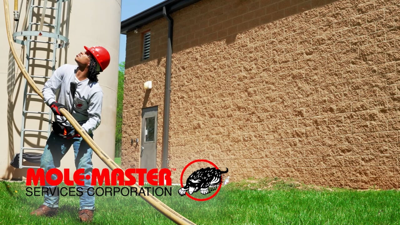 Grain in Motion: The Mole&middot;Master&reg; Commitment