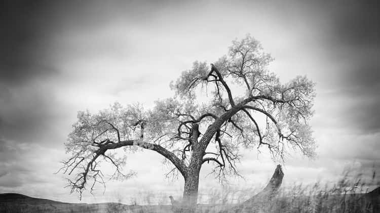 The Art of Black and White Photography Hosted by Sony on Vimeo