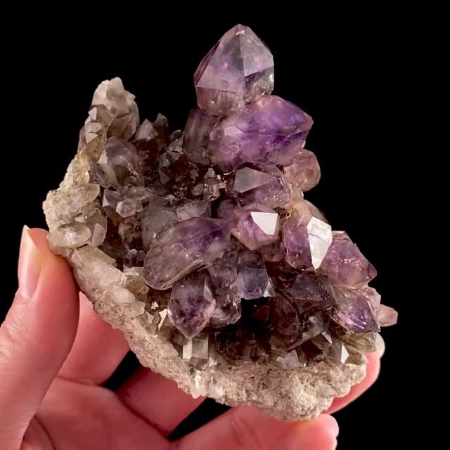 Quartz var: Amethyst and Smoky (with a scepter crystal)