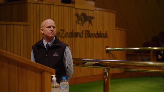 2022 NZB National Weanling Sale Highlights