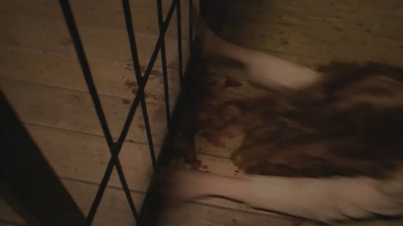 Кадр из видео квеста Сияние разума
