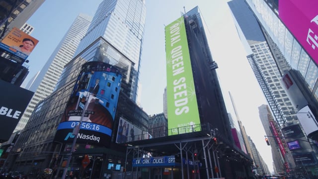 RQS 4/20 Times Square Celebration - RQS Blog