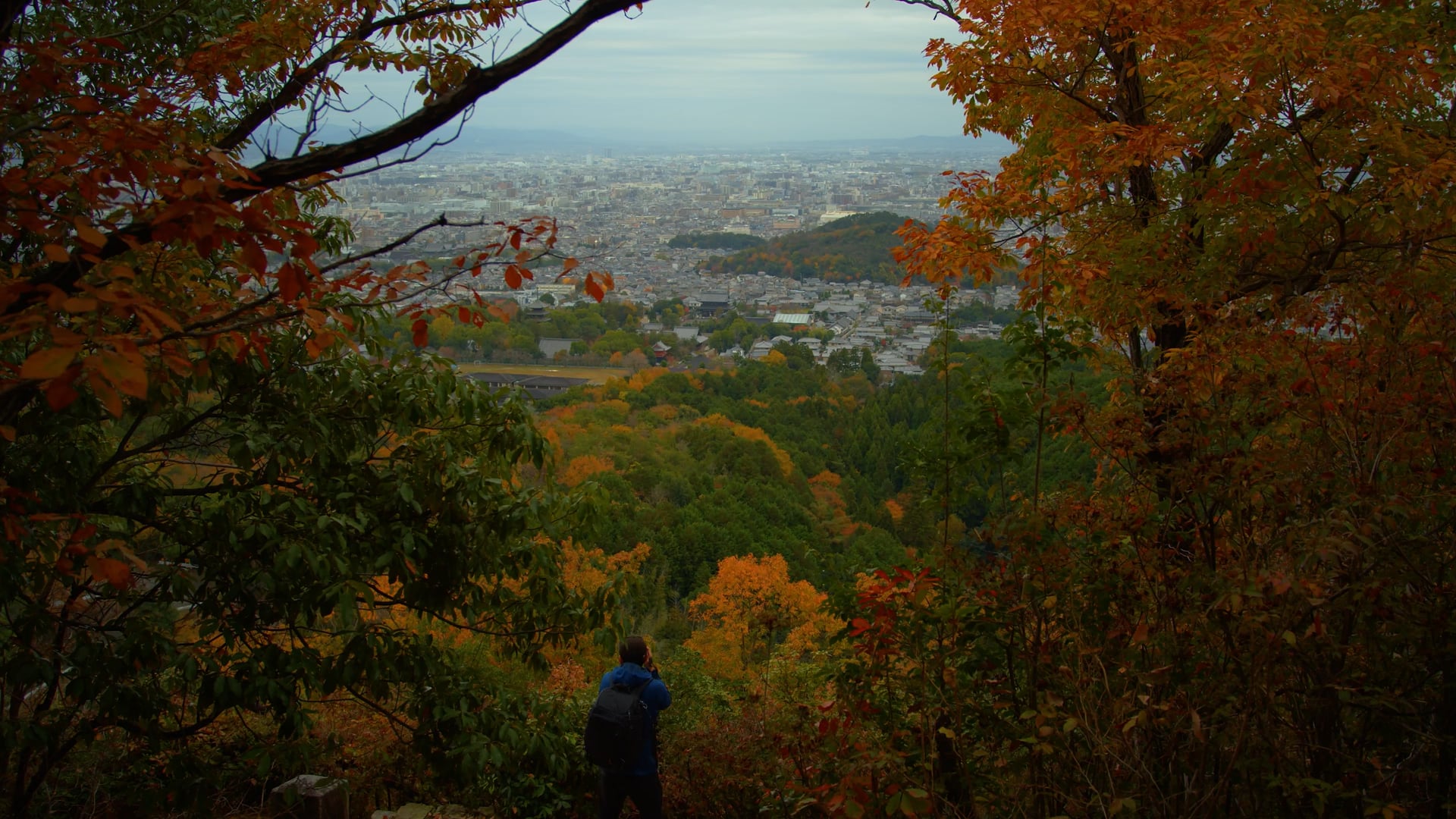 REGZA x Craftsmanship #1 Short