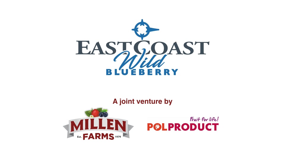 East Coast Wild Blueberry