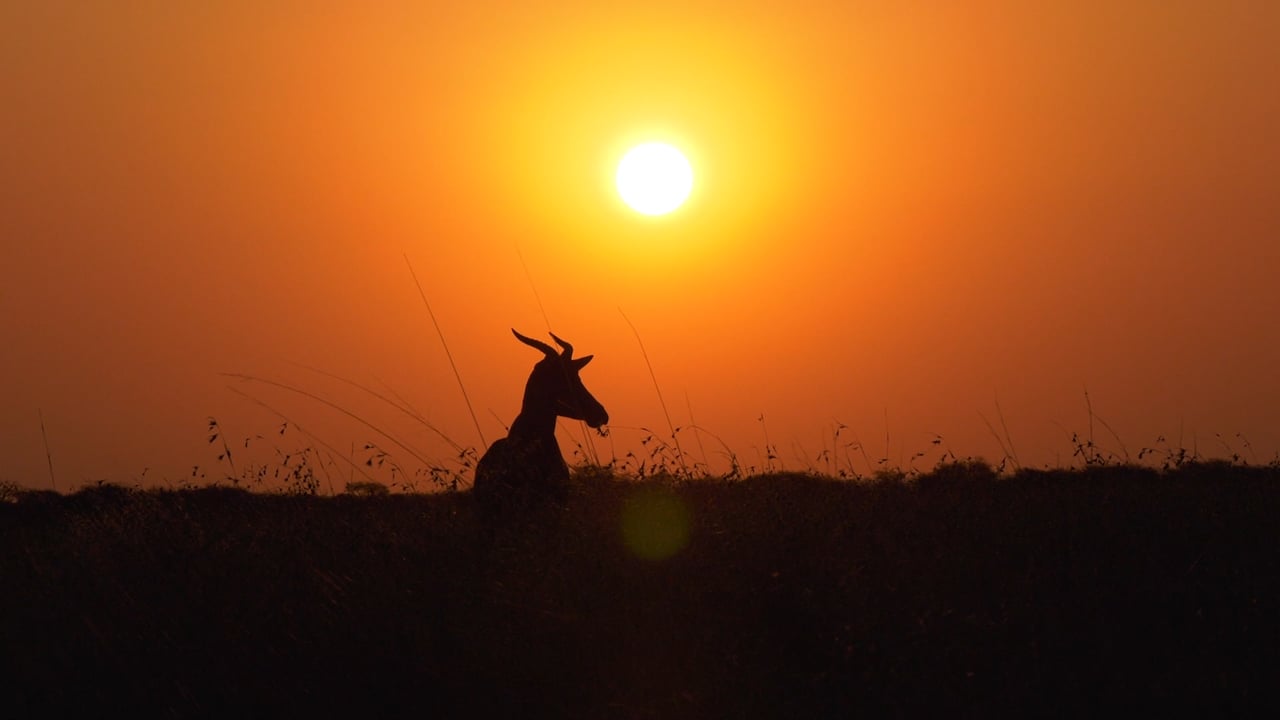 About Wintershoek Safaris