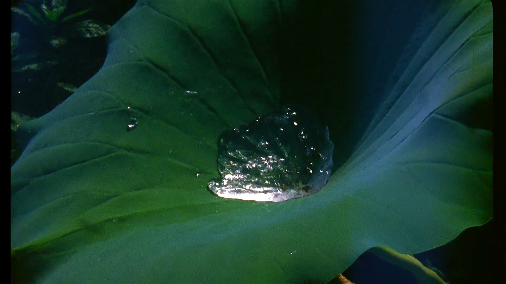 Memories of Los Angeles, 2022