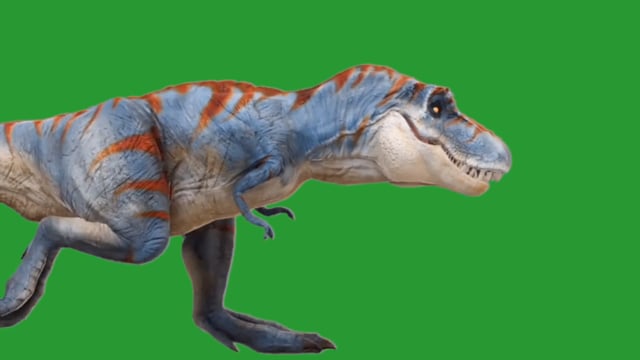 Tyrannosaurus T-Rex Run Green Screen 3D , Stock Video