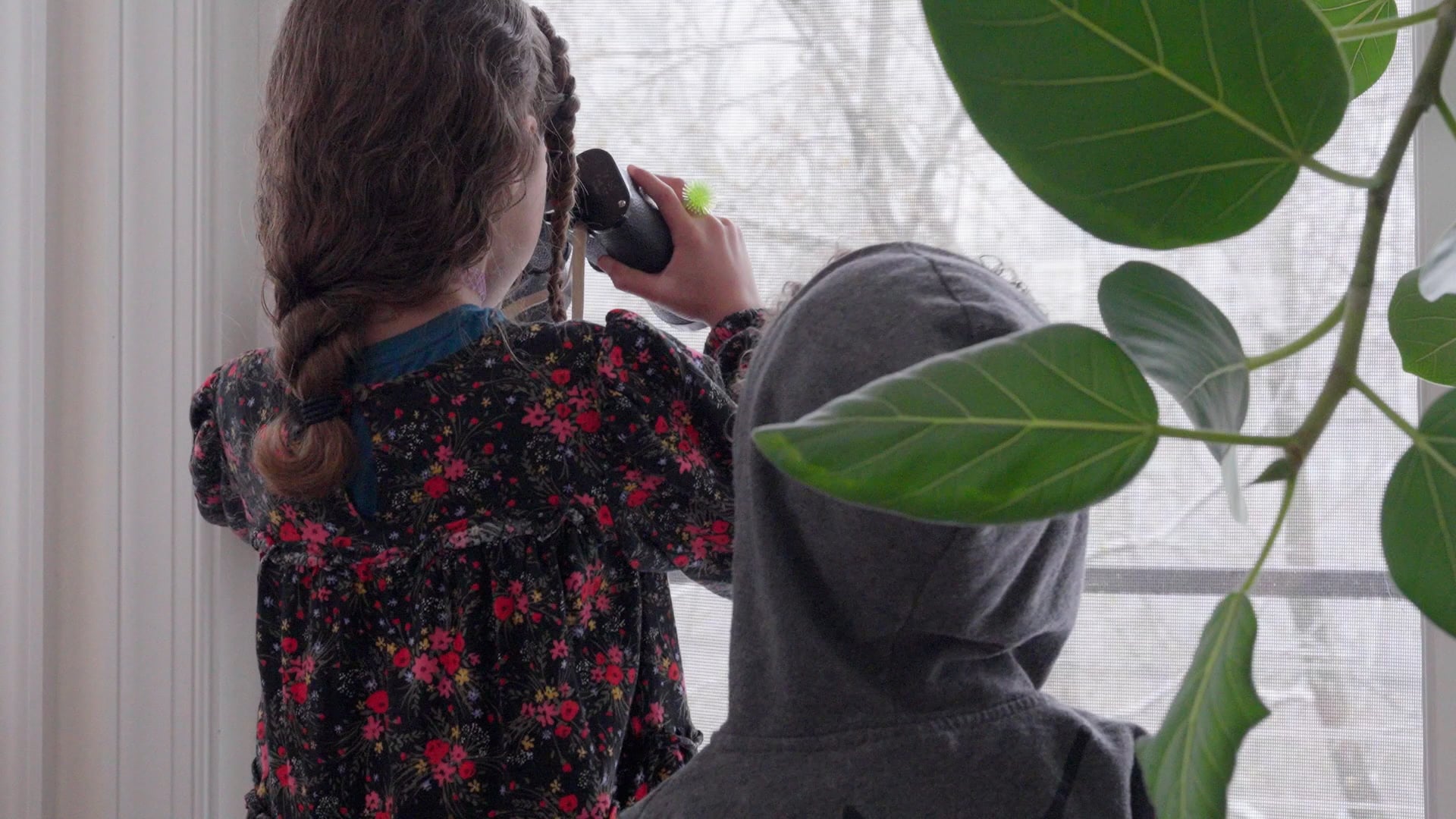Family video sample on Vimeo