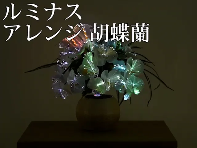 新型 ルミナス アレンジ 胡蝶蘭 LED | お仏壇のはせがわ公式通販 新型 ルミナス アレンジ 胡蝶蘭 LED | お仏壇のはせがわ公式通販