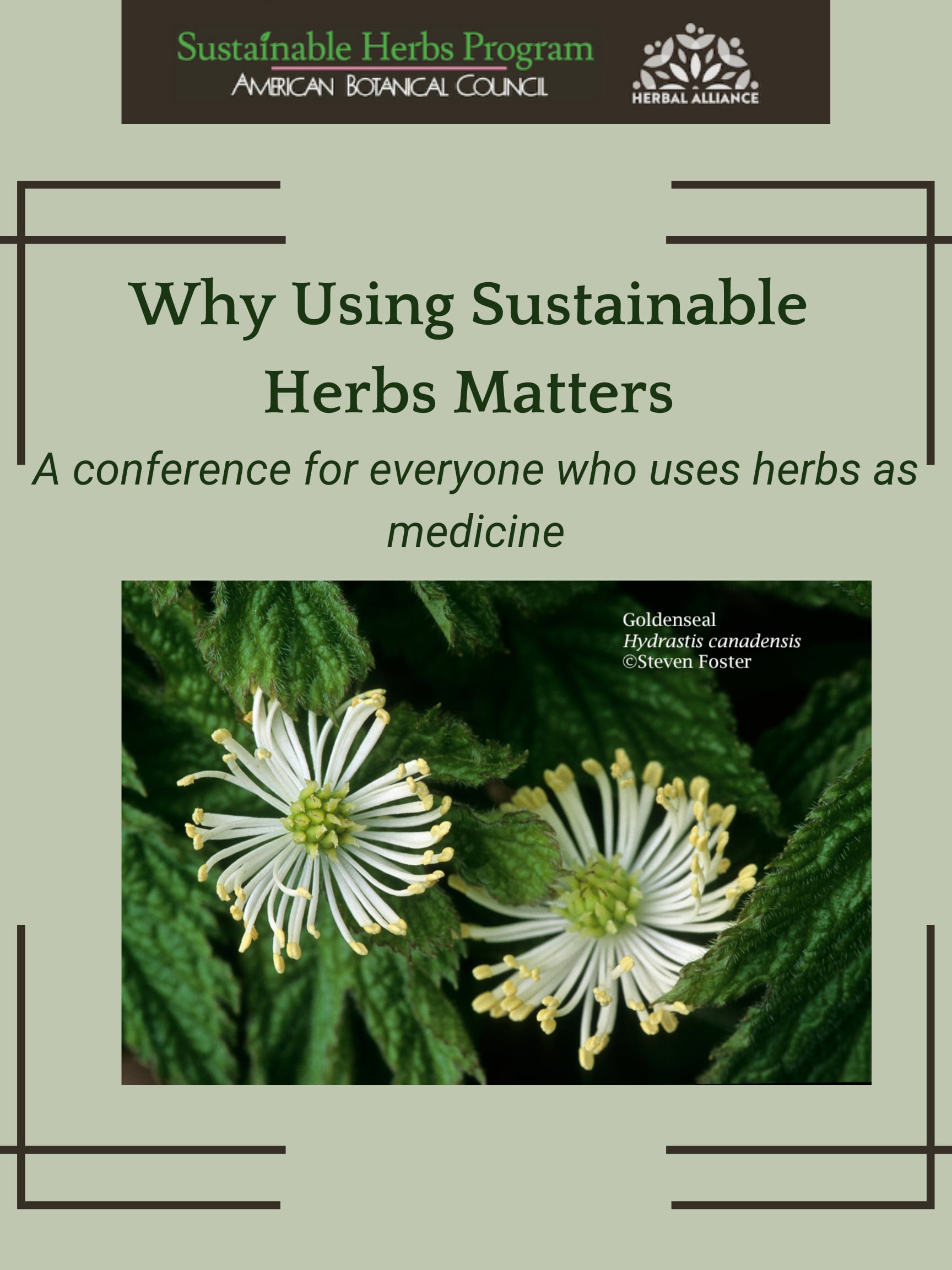 Watch Why Using Sustainable Herbs Matters A conference for everyone